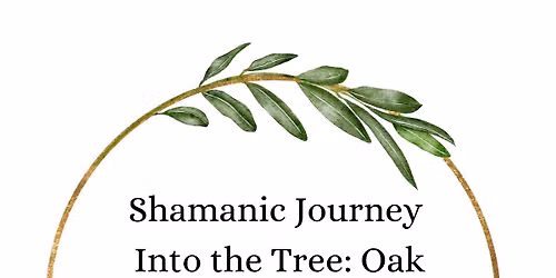 Journeying Into the Tree: Oak
