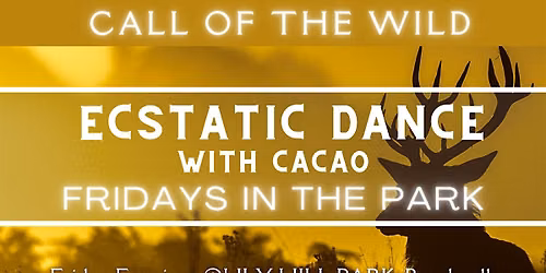 Call of The Wild Ecstatic Dance With Cacao - Fridays in The Park