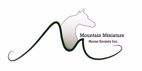 Miniature horse nzmha measuring 