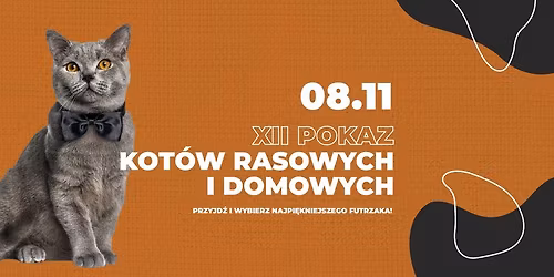 XII Pokaz Kot\u00f3w Rasowych i Domowych \ud83d\udc08 | 08.11 Galeria Metropolia