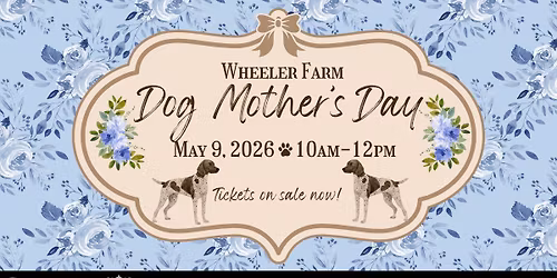 Dog Mother's Day at Wheeler Farm! 