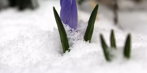 N\u00f8rklekoncert i vinterm\u00f8rket