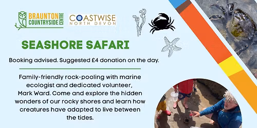 Seashore Safari