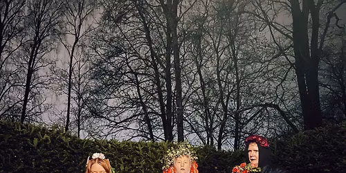 Live @ Sophie: Vieraslaji