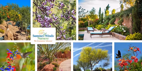 Planting Trees & Shrubs in the Valley of the Sun