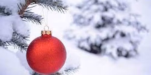 Bill Lopez Solo @ VFS Holiday Buffet