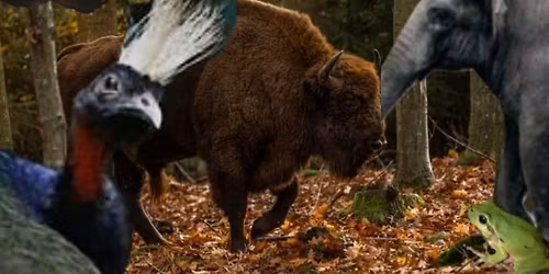 Svaneke Bibliotek - Svaneke deler viden - Biolog Peter Haase