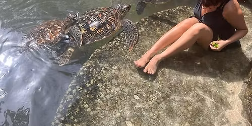 6 DAYS ZANZIBAR TOUR FROM 20th to 27th DEC @KSH 65,000