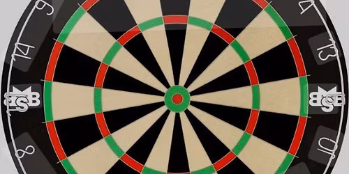 Dart Competition at The Golden Ark