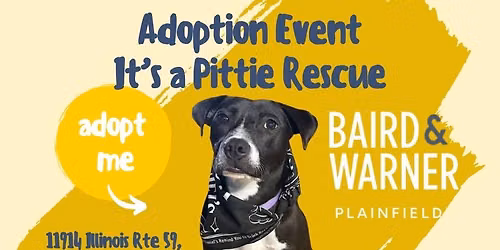 Baird & Warner Plainfield - Adoption Event
