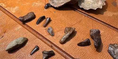 Shark Infested Waters 1 Mile