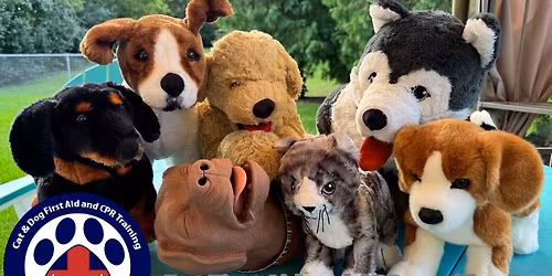 Pro Pet Hero - Cat & Dog (Pet) First Aid and CPR Certification