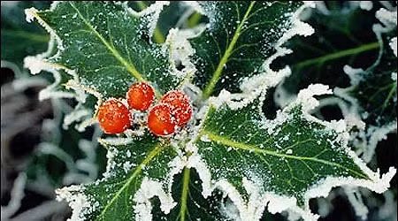 8th Anniversary Open House