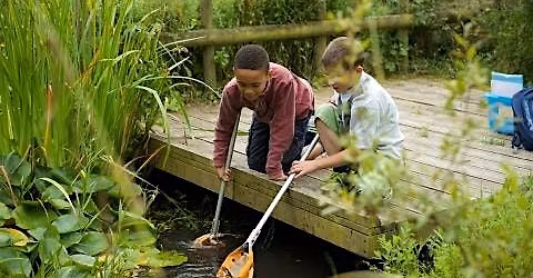 Pond Dipping at Lorton Meadows
