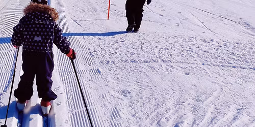 Lasten Leijonahiihto Malminkartanossa - siirretty vuodelle 2026