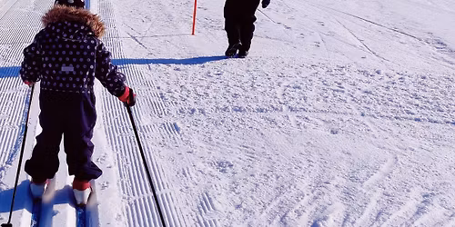 Lasten Leijonahiihto Malminkartanossa - siirretty vuodelle 2027