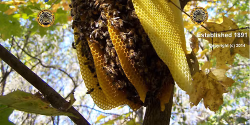 American Honey Show Training Council (AHSTC) Honey Judge Training Class
