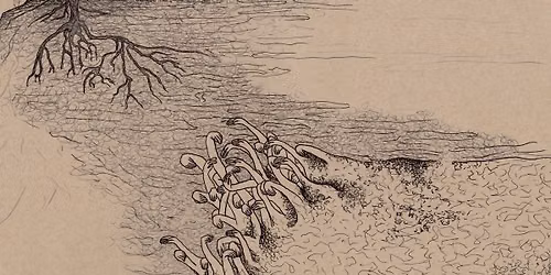 Opening Celebration: a small ocean swallowed