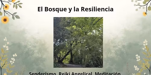 El Bosque y la Resiliencia