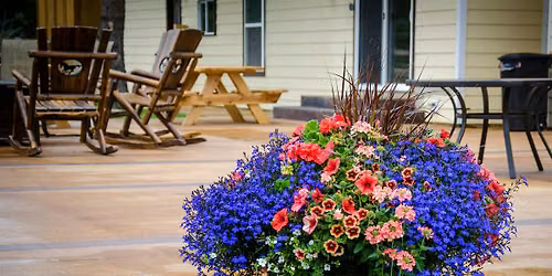 Container Gardening in Charlottesville