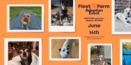 Fleet Farm Adoption Event