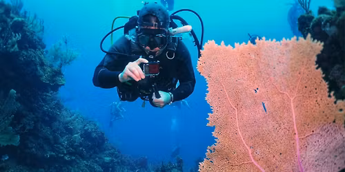 Digital Underwater Photography Course