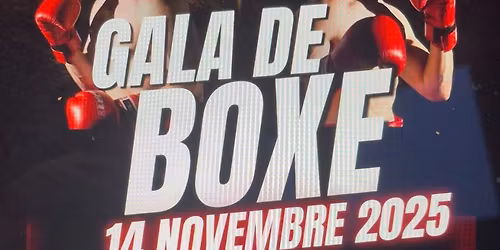 Gala de boxe anglaise 
