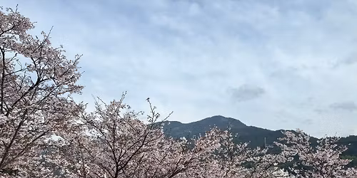 Kohtumine Jaapaniga: Tosacho, Shikoku saare s\u00fcda\ud83d\udc9a