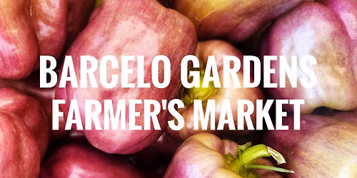 Barcelo Gardens Farmer's Market (9th Ward Garden Location)