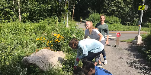 Volunteers Needed Along the NRVT in Wilton!
