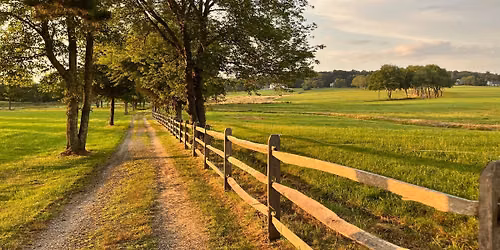 Whip's Farm Wellness | On Farm Yoga