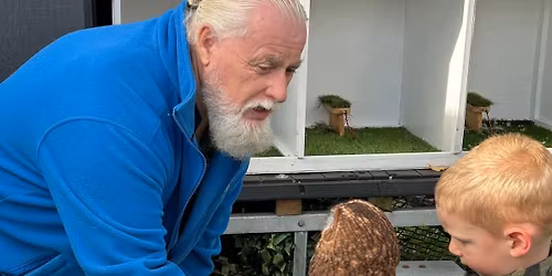 forest food spring showcase 