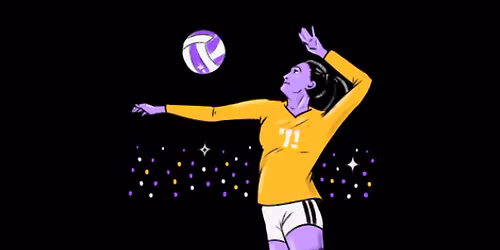 Milwaukee Panthers at Drake Bulldogs Womens Volleyball