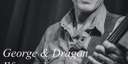 The Big Dog Boogie Band Live at The George & Dragon, Ilfracombe 