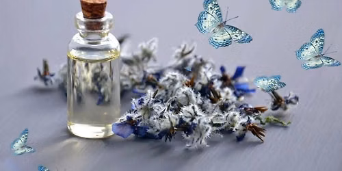 AromaYoga Reset with Megan McGuirk