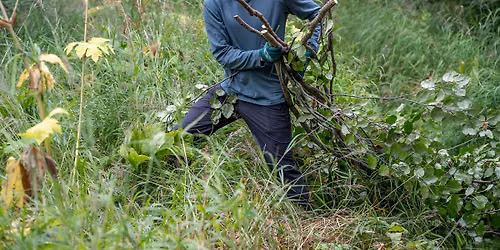 Powerline Trail Brushing Take 2