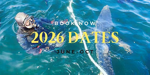 2026 DATES TO SWIM WITH BLUE SHARK(DEPOSIT ONLY)
