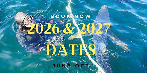 2026 and 2027  DATES TO SWIM WITH BLUE SHARK(DEPOSIT ONLY)