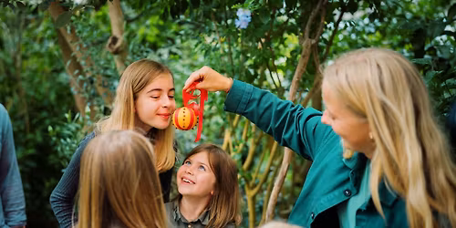 Julens planter \u2013 en familierundvisning i Botanisk Have