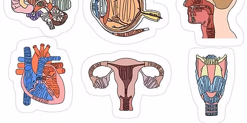 CELL 220 Lab Exam 2 Fall 2025