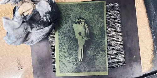 Creative Inking Techniques in Photopolymer - Masterclass with Bev Hayes