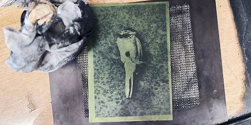 Creative Inking Techniques in Photopolymer - Masterclass with Bev Hayes