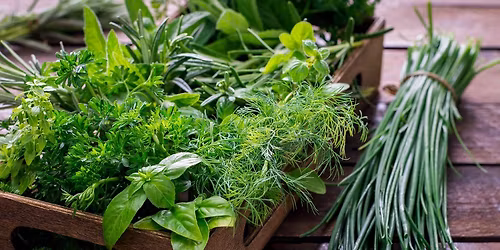 Cooking with Herbs