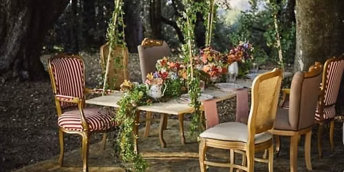 Central Park Tipsy Tea w\/Crumbs and Booked & Busy