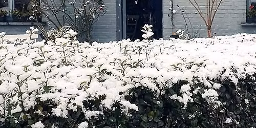 16 ème Marché de Noël à la Cave de Giuseppe