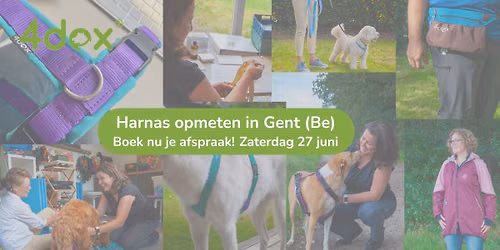 Gent (Belgi\u00eb) 27 juni 2026 4dox harnas opmeten
