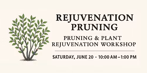 Rejuvenation Pruning Workshop