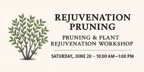 Rejuvenation Pruning Workshop