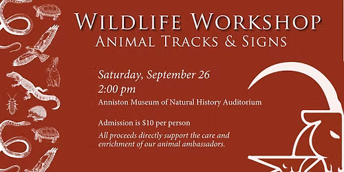 Wildlife Workshop: Animal Tracks & Sign
