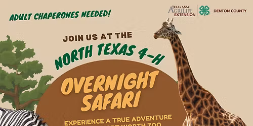 Denton County 4-H Overnight Safari 
